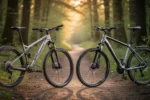 Rower górski i trekkingowy zaparkowane obok siebie na leśnej ścieżce w świetle zachodzącego słońca.